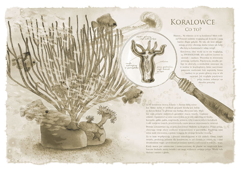 rafa-koralowa-nasza-księgarnia.2.jpg