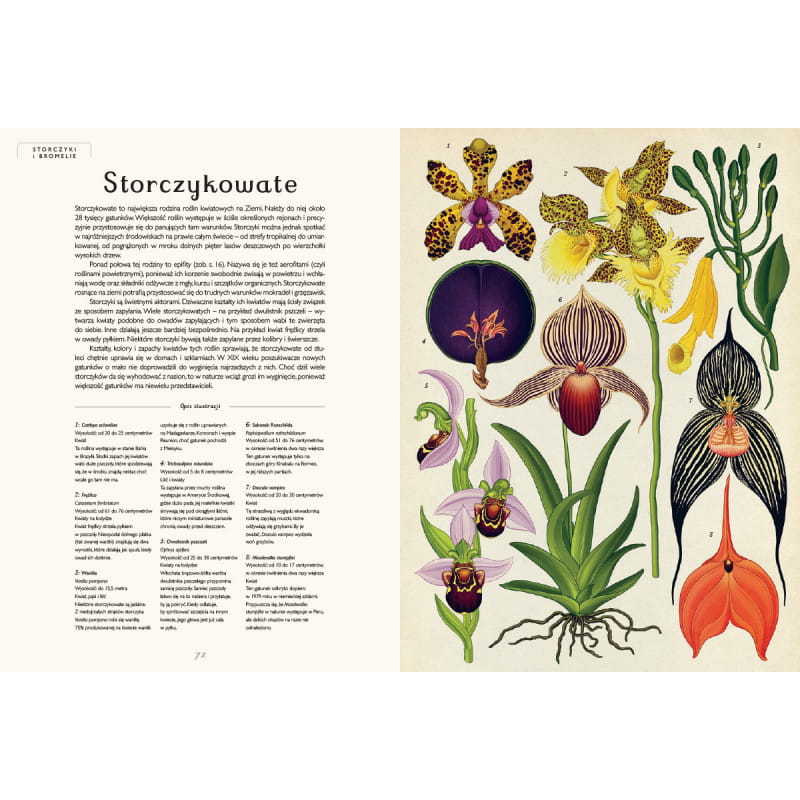 botanicum-muzeum-roślin.3.jpg