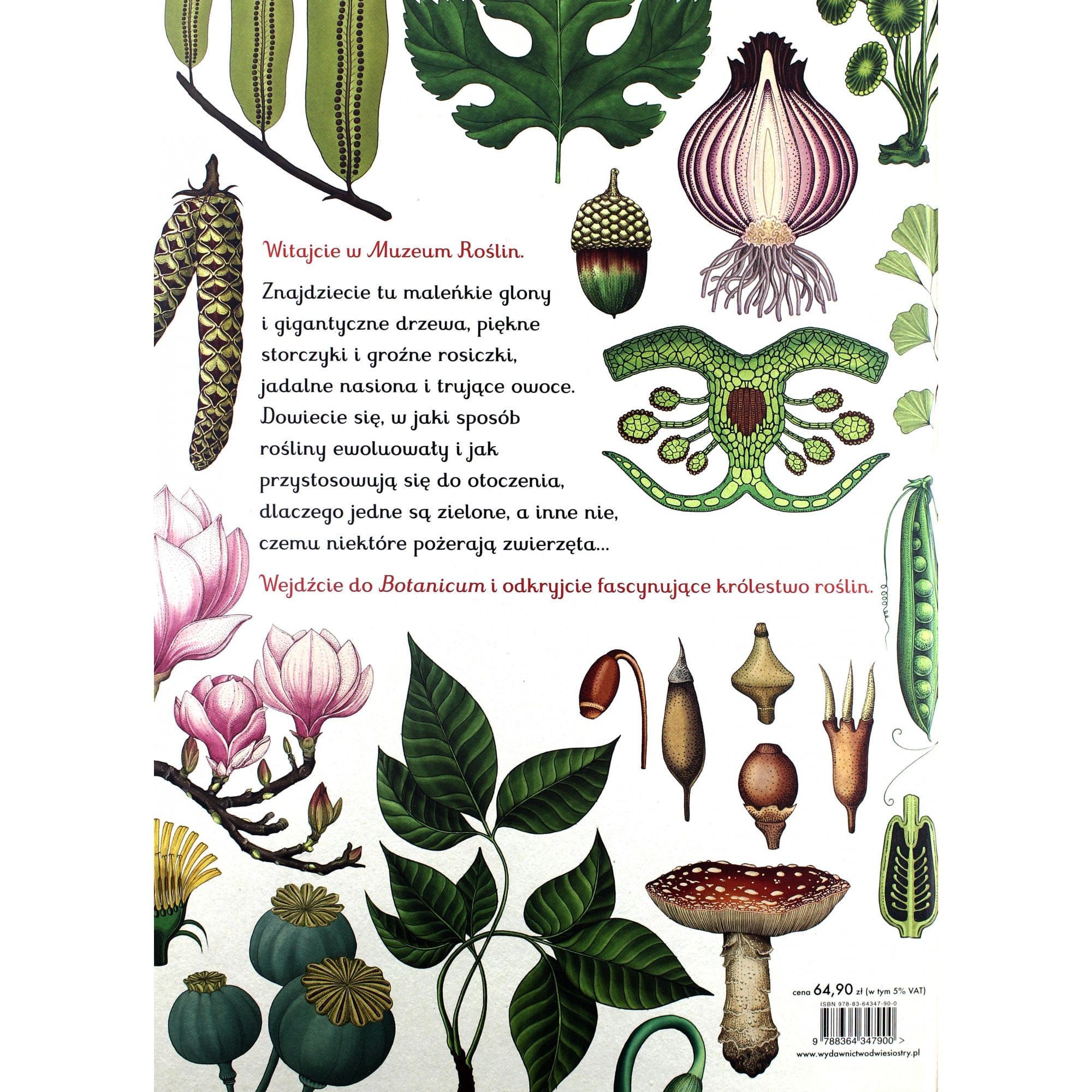 botanicum-muzeum-roślin.4.jpg