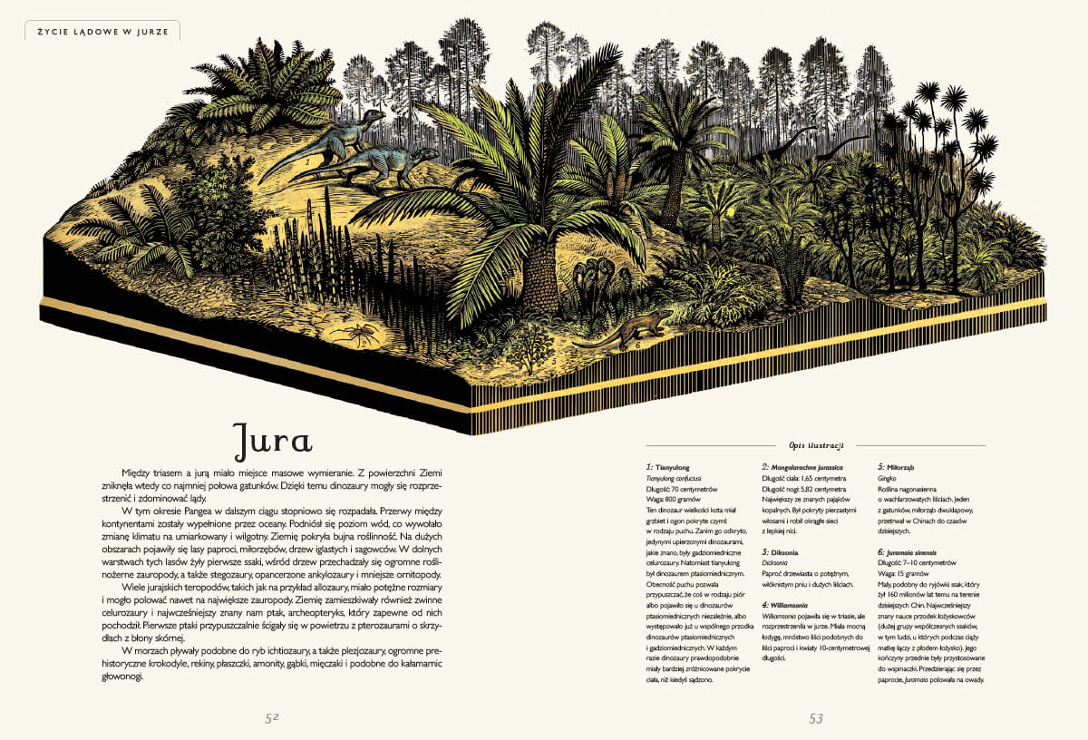 dinozaurium.3.jpg