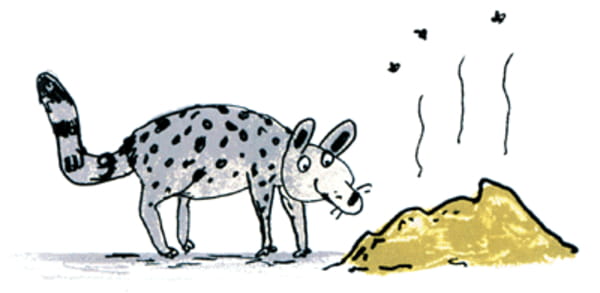 kupa.1.jpg
