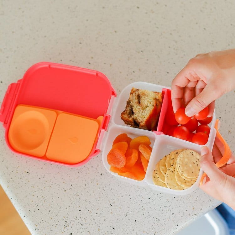 Mini_lunchbox_Passion_Splash2.jpg