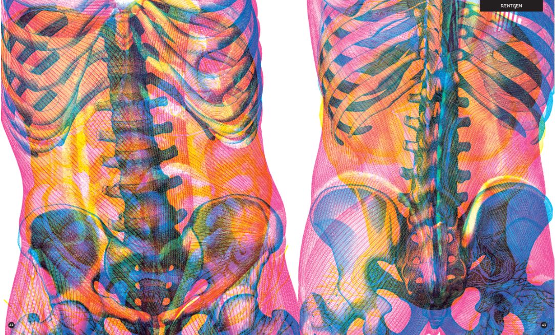 gabinet_anatomii2.jpg