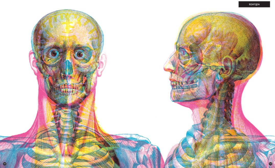 gabinet_anatomii3.jpg