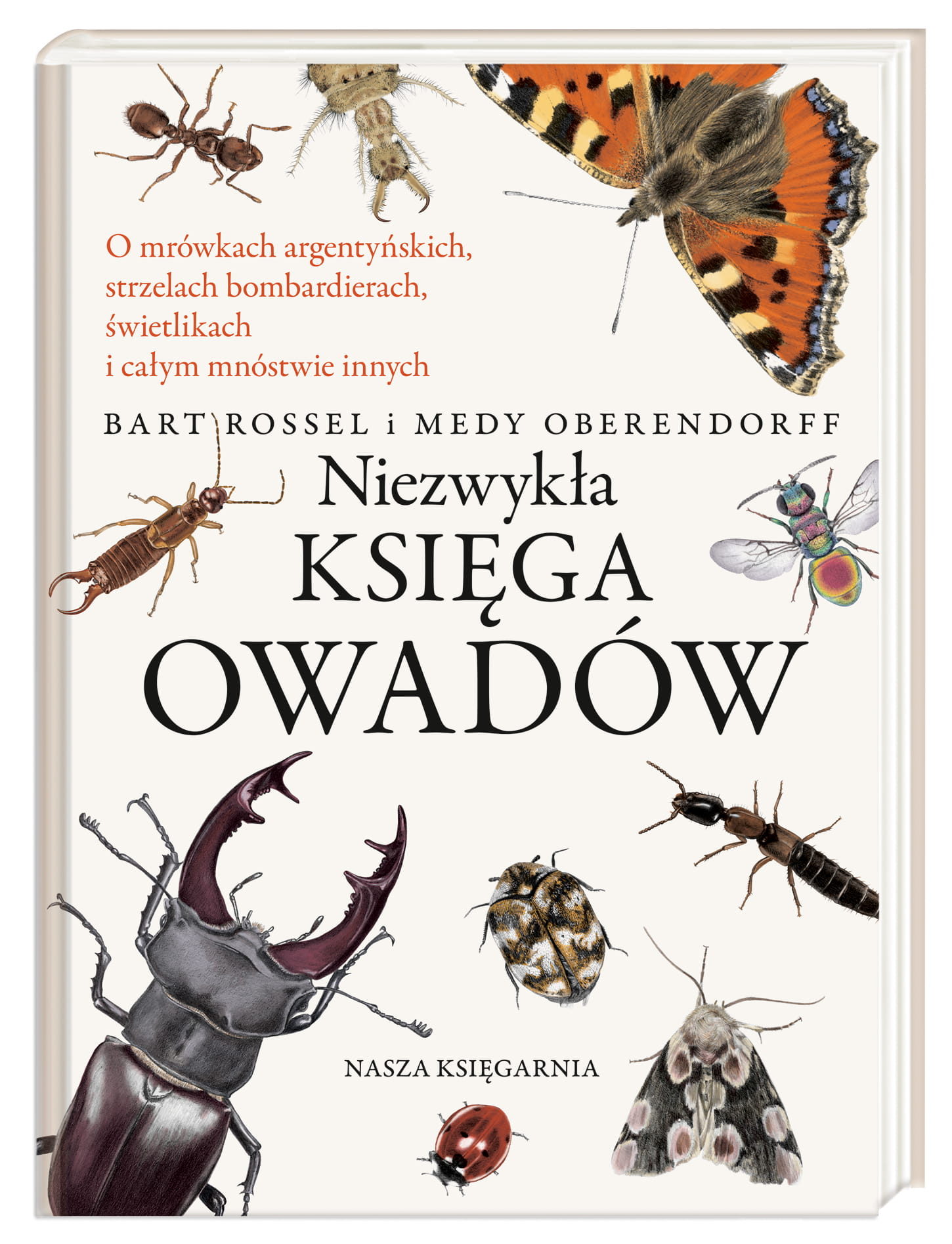 niezwykła_księga_owadów.jpg