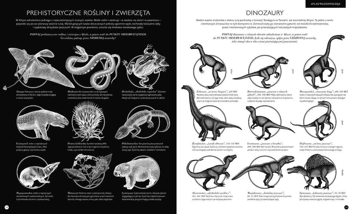 gabinet_dinozaurow_3.jpg