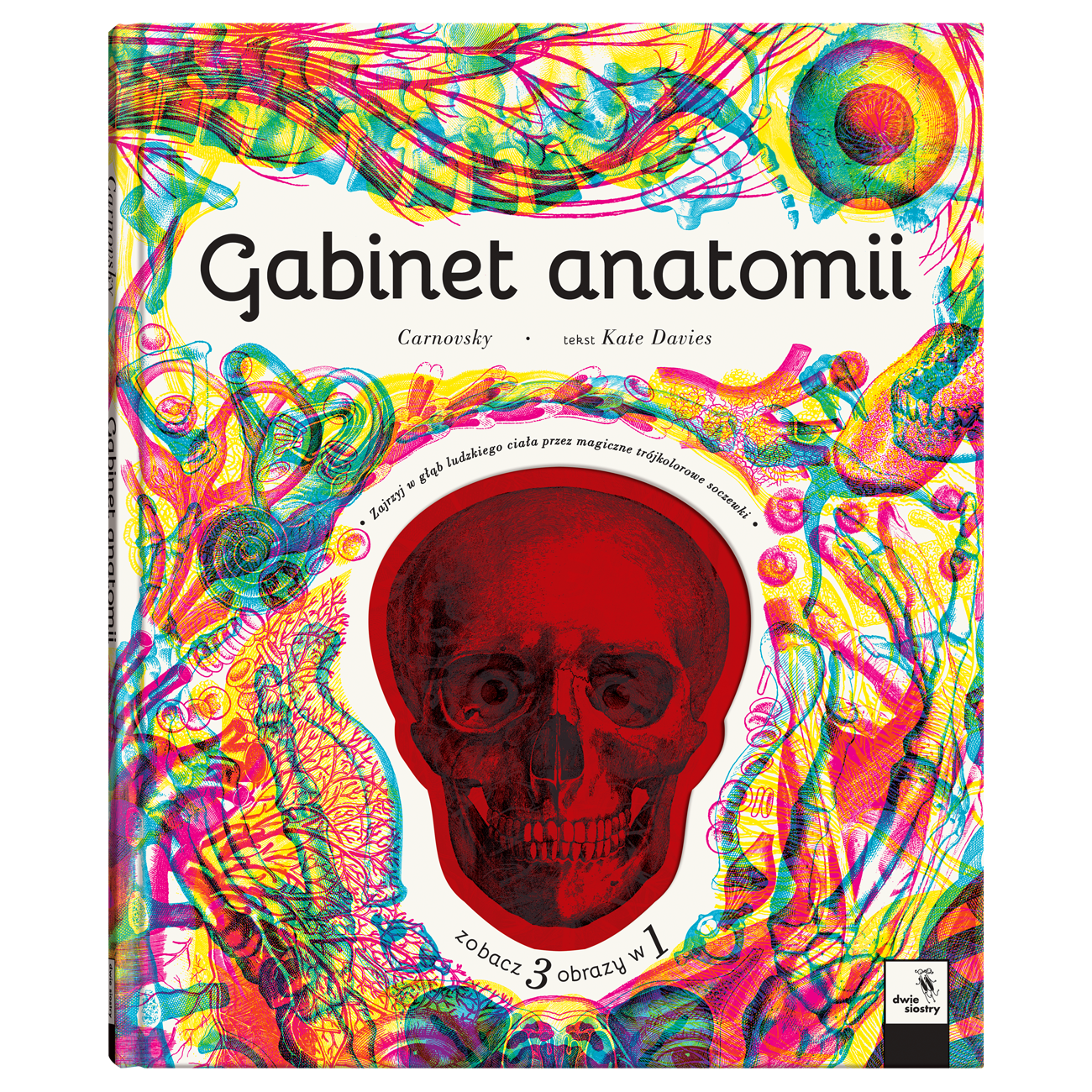 gabinet_anatomii_II.png