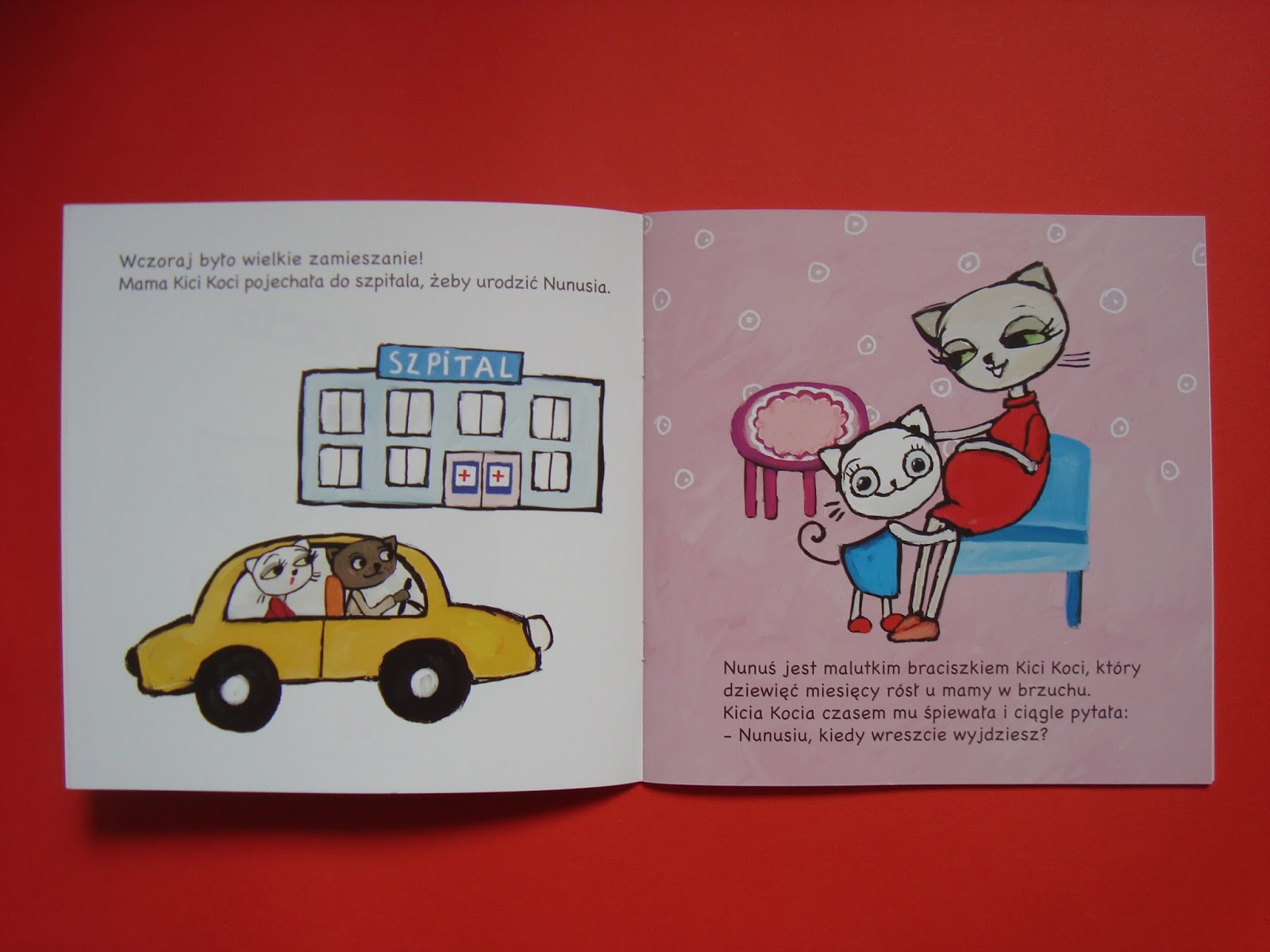 DSC00205 (1).JPG